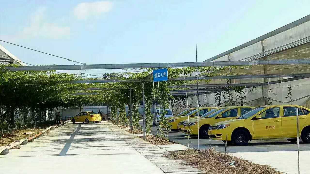 大学城百香果.jpg